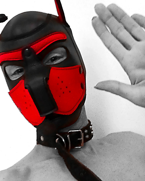 Top4Fans – HardGaySexSlave